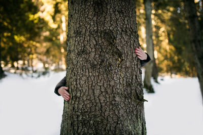 Close-up of hand on tree trunk