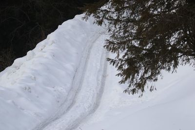 Scenic view of snow covered land and trees