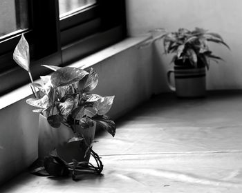 Close-up of flower vase on table at home