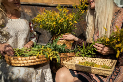 Midsection of woman picking vegetables