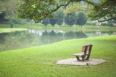 Bench by lake against trees