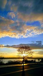 Silhouette trees on field against sky during sunset