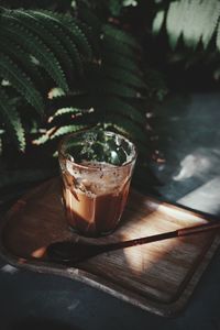 High angle view of drink in glass by of potted plant on table