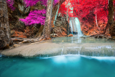 Scenic view of waterfall in forest