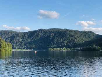 Scenic view of lake by trees against sky