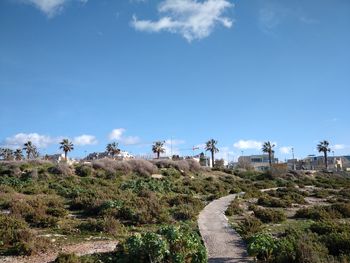 Panoramic view of landscape against blue sky