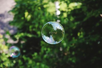 Close-up of bubbles in mid-air