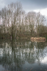 Bare trees by lake against sky