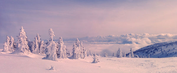 Panoramic view of snow covered landscape against sky