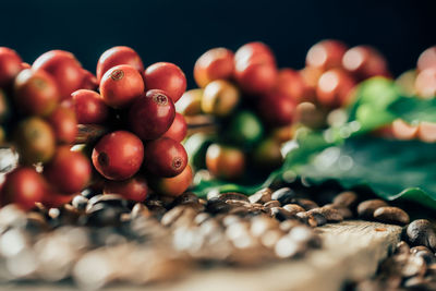 Close-up of berries over white background