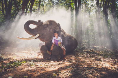 Boy studying while sitting on elephant in forest