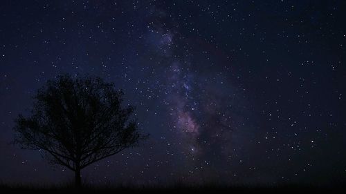 Low angle view of starry sky