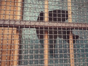 Broken glass seen through metal grate