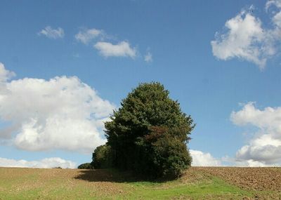 Scenic view of field against cloudy sky
