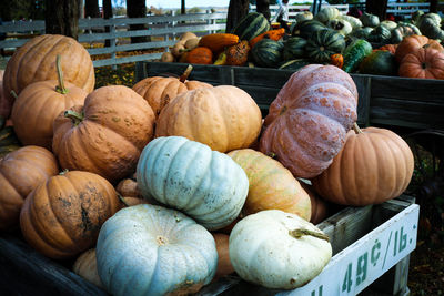 Close-up of pumpkins for sale at market