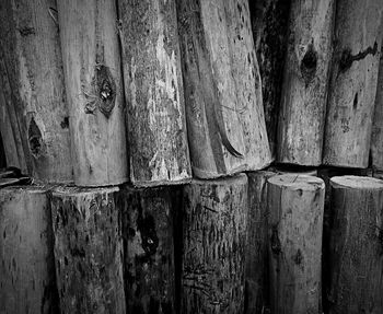 Close-up of wooden plank