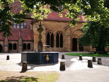 Built structure against trees