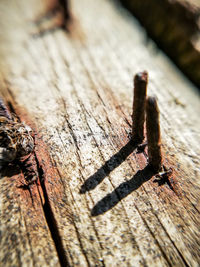 Close-up of old wooden plank