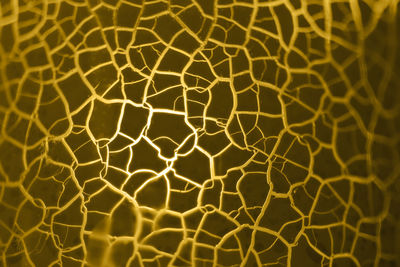 Full frame shot of illuminated yellow lights