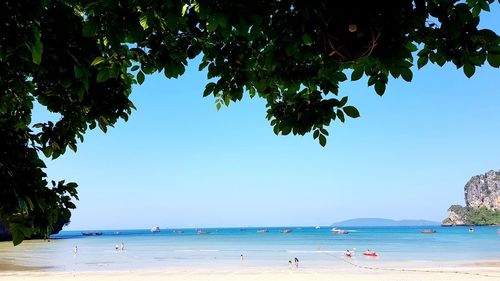 Scenic view of beach against clear blue sky