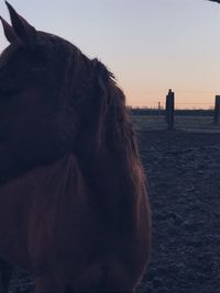 Close-up of young woman looking at sea shore against sky