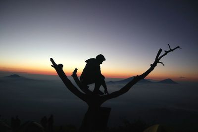 Silhouette man on tree against sky during sunset