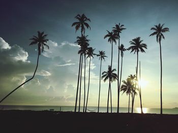 Silhouette palm trees on beach against sky during sunset