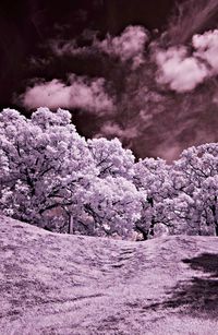 Scenic view of landscape against cloudy sky