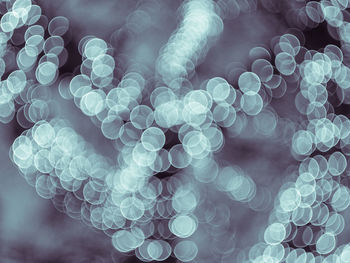 Defocused image of tree with lights