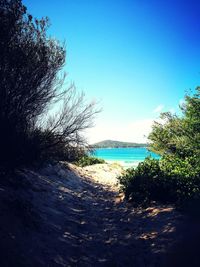 Scenic view of sea against clear blue sky