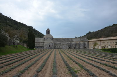 Abbaye notre-dame de sénanque