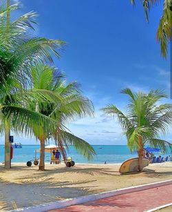 Palm tree on beach against clear blue sky