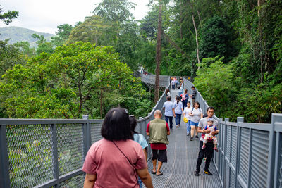 Rear view of people walking on road amidst trees