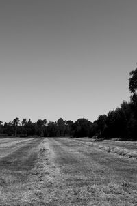 Scenic view of field against clear sky