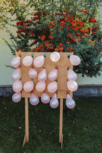 Close-up of balloons