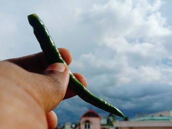 Close-up of hand holding leaf against sky