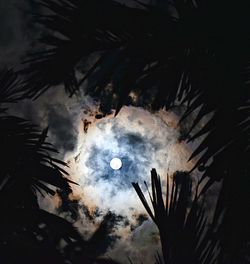 Low angle view of illuminated tree against sky at night