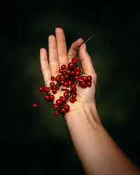 Midsection of woman holding apple