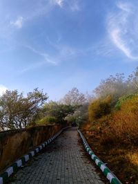 Footpath amidst trees against sky