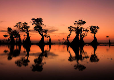 Silhouette trees by lake against sky during sunset