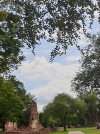 Low angle view of trees and building against sky