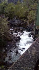 Scenic view of waterfall in forest