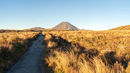 Volcanic landscape with hiking trail and volcano in background lit by sunset light, new zealand