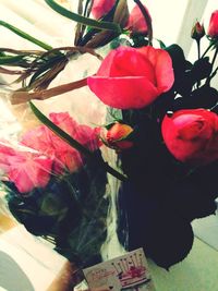 Close-up of red flowers