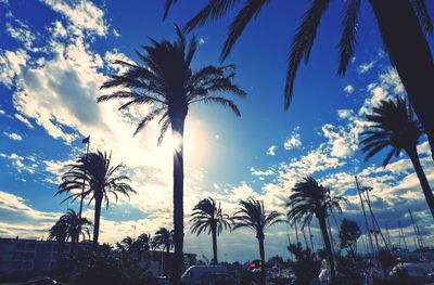 Silhouette palm trees on beach against sky