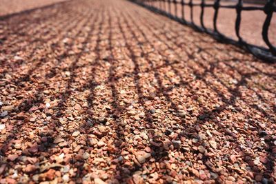 Surface level of pebbles