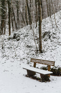 Close-up of snow on tree during winter