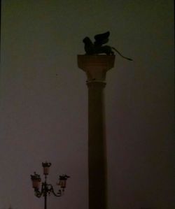 Low angle view of bird perching on street light against sky