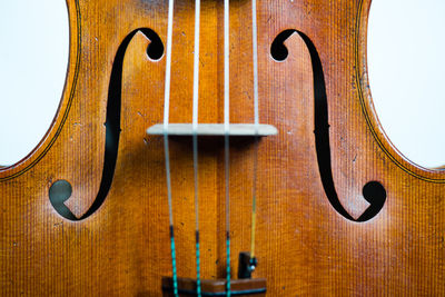 Close-up of viola against white background