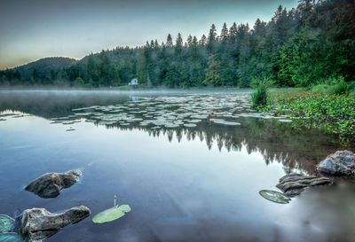 Scenic view of lake by trees against sky